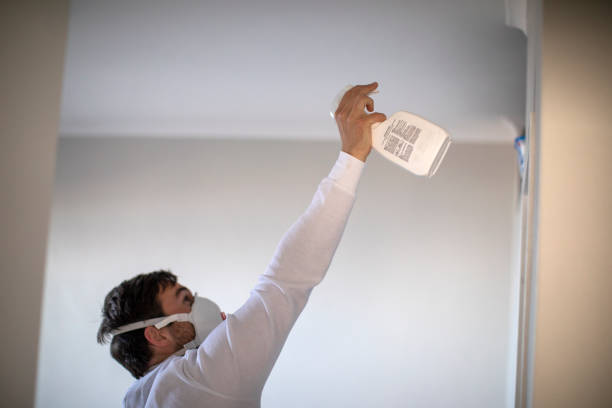 Best Attic Mold Remediation in Dunnellon, FL